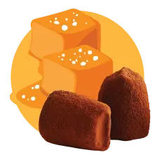 Salted Caramel - bulk - Chocolate Truffles