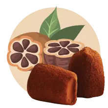 Cacaonibs - bulk - Chocoladetruffels - WOW Chocolao!