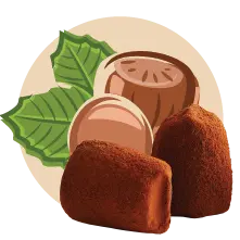 Hazelnoot - bulk - Chocolade Truffels - WOW Chocolao!