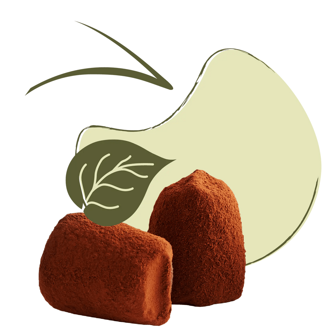 VEGAN Chocolate Truffles - Can't tell the difference! - WOW Chocolao ...